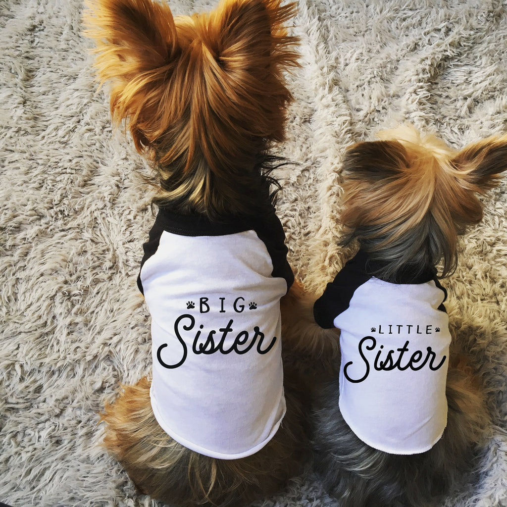 Big Sister and Little Sister Matching Dog T-Shirt Set - Modeled by Yorkies