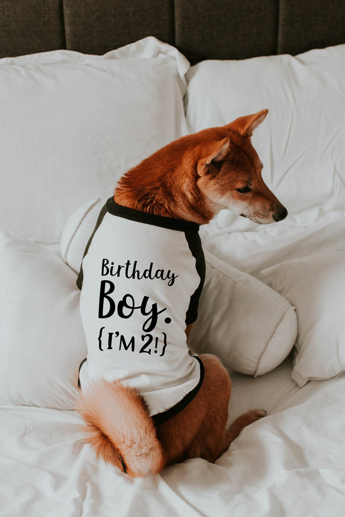 Personalized Birthday Boy I'm 2! Raglan Shirt in Black and White - Modeled by Miso the Shiba Inu