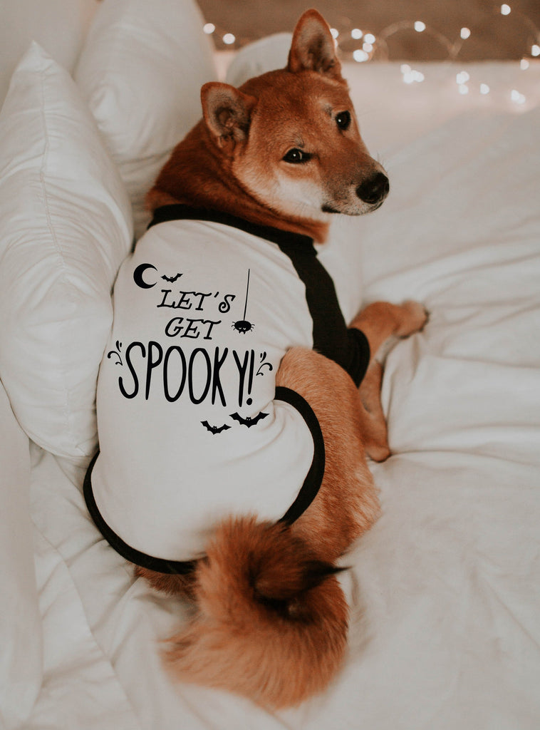 Let's Get Spooky! Halloween Dog Shirt in Black and White - Modeled by Miso the Shiba Inu