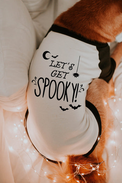 Let's Get Spooky! Halloween Dog Shirt in Black and White - Modeled by Miso the Shiba