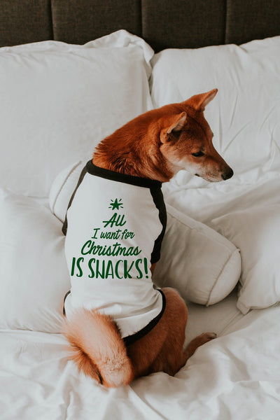 All I Want For Christmas is Snacks Dog Christmas Raglan in Green