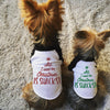 All I Want For Christmas is Snacks Dog Christmas Raglan in Green and Red