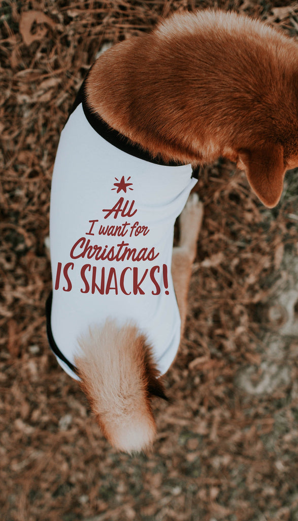 All I Want For Christmas is Snacks Dog Christmas Raglan in Red