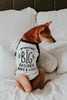 Promoted to Big Brother Big Sister Shirt Pregnancy Announcement Dog Raglan Shirt in Black and White - Modeled by Miso the Shiba Inu