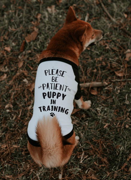 Please Be Patient Puppy in Training New Puppy Dog Raglan Shirt in Black and White - Modeled by Miso the Shiba Inu