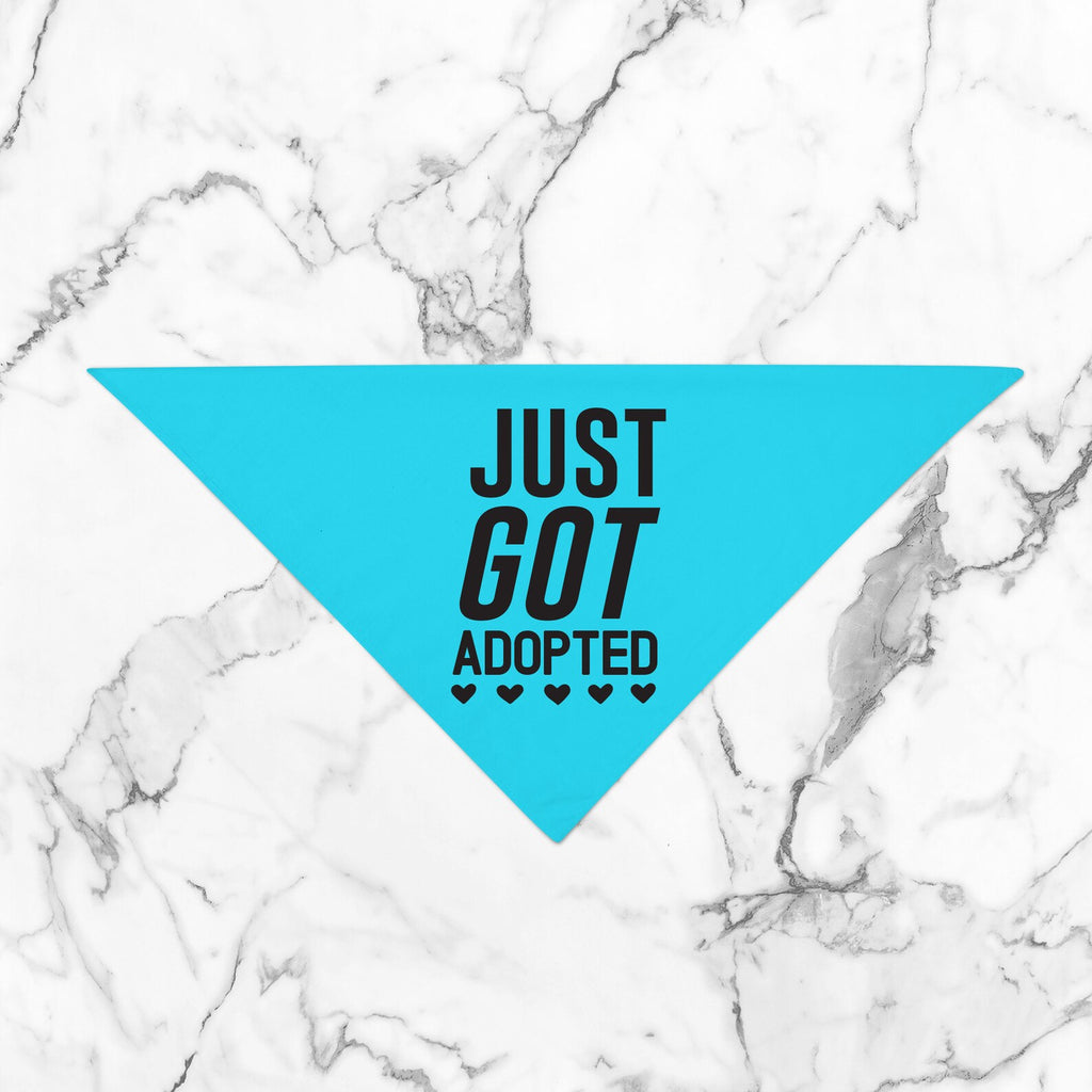 Just Got Adopted Adopt Don't Shop Bandana in Turquoise Bright Blue