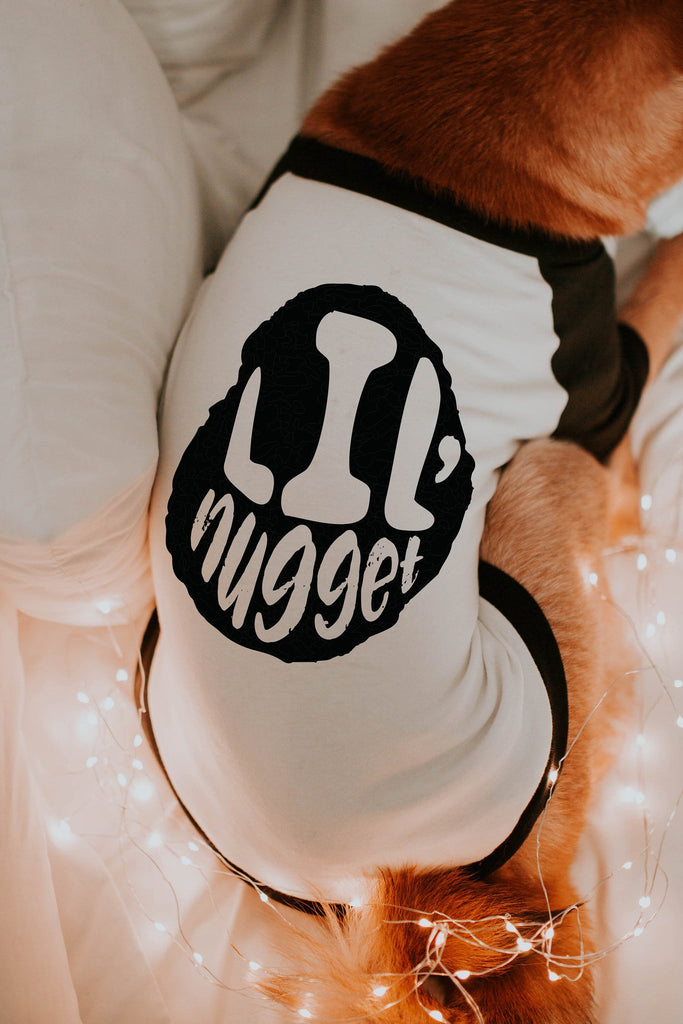 Funny Lil' Nugget Chicken Nugget Dog Raglan Shirt in Black and White - Modeled by Miso the Shiba Inu