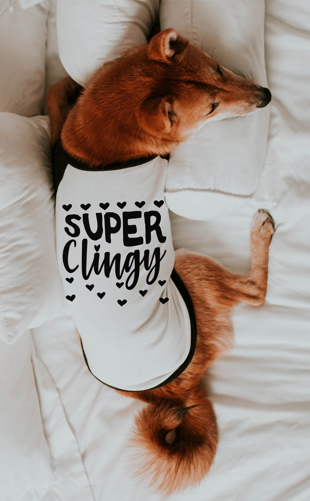 Super Clingy Hearts Funny Dog Raglan T-Shirt in Black and White - Modeled by Miso the Shiba Inu