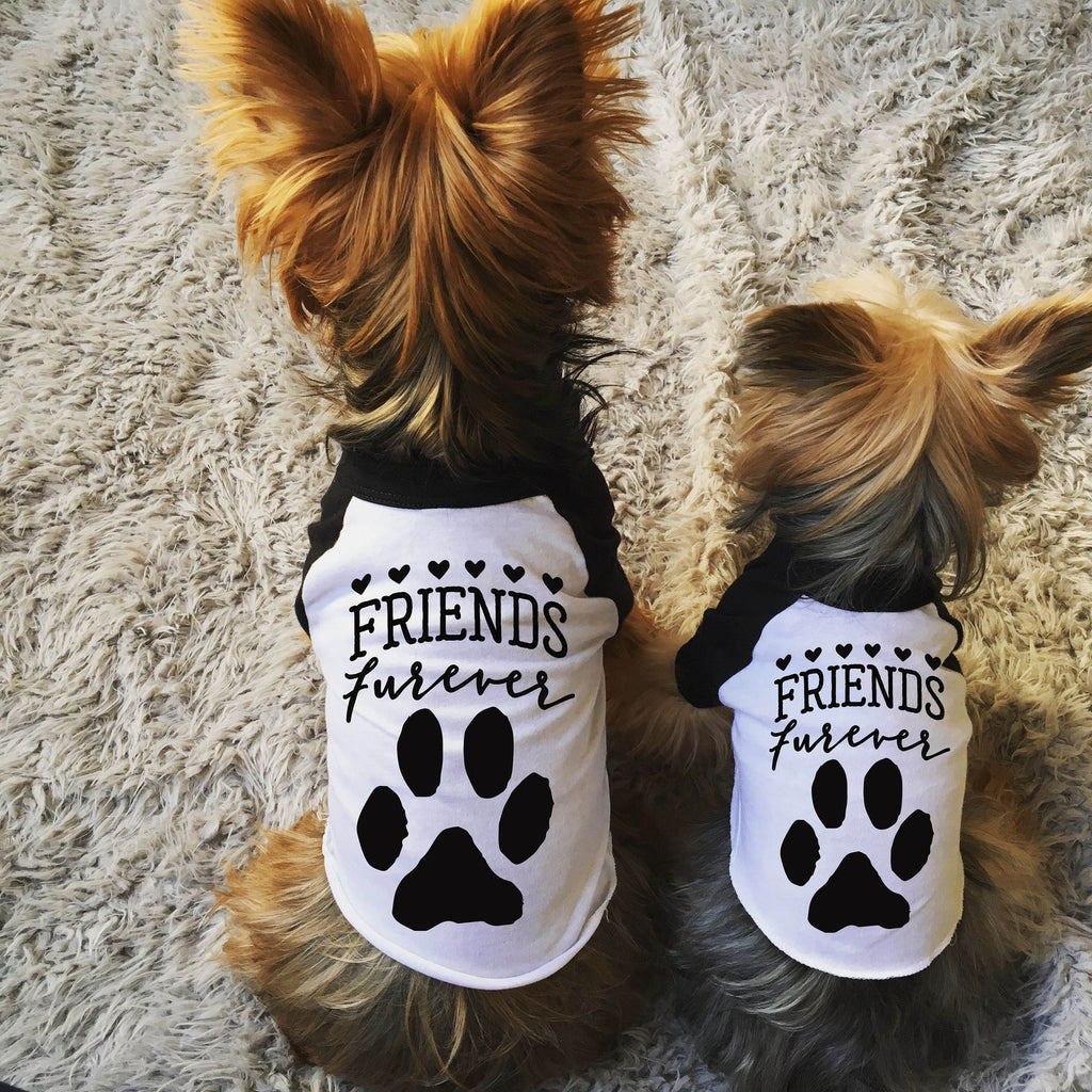 Custom Friends Furever or Love is Furever Dog Raglan in Black and White - Modeled by Lily and Nutmeg the Yorkshire Terriers
