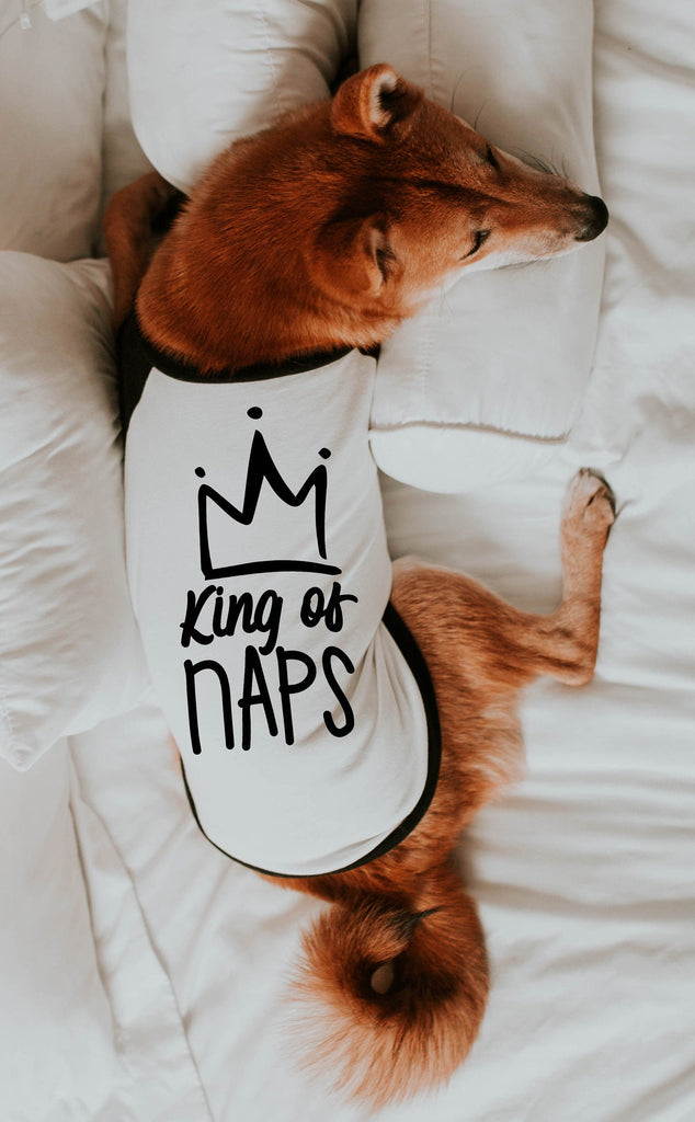 Custom King of Naps or Queen of Naps Dog Raglan in Black and White - Modeled by Miso the Shiba Inu