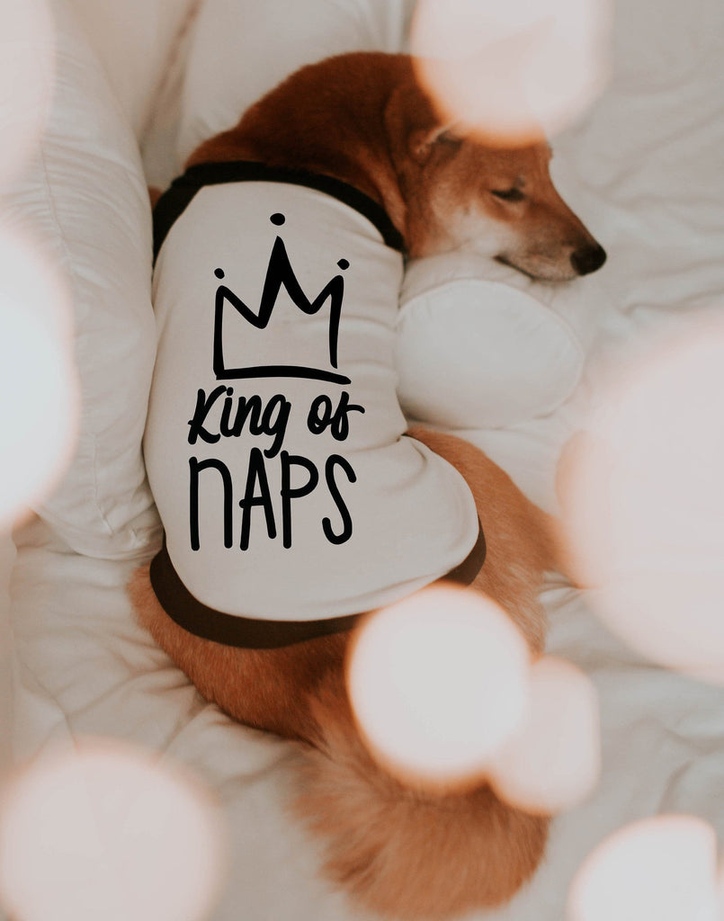 Custom King of Naps or Queen of Naps Dog Raglan - Modeled by Miso the Shiba Inu