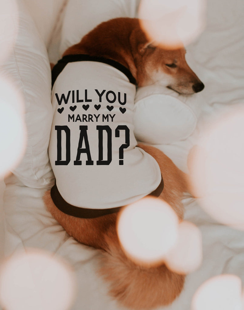 Will You Marry My Dad? Hearts Engagement Wedding Marriage Dog Raglan T-Shirt in Black and White - Modeled by Miso the Shiba Inu