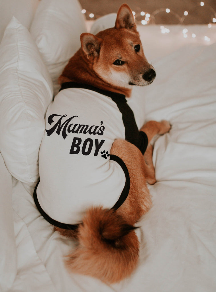 Custom Mama's Boy Daddy's Girl Shirt - Modeled by Miso the Shiba Inu