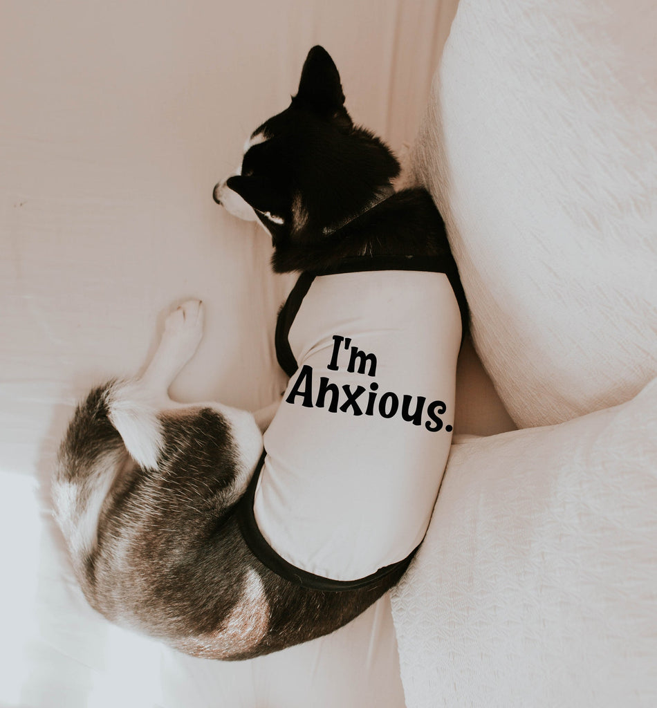 Custom I'm Deaf I'm Blind I'm Anxious Dog Raglan Shirt in Black and White - "I'm Anxious" Wording Modeled by Athena the Husky