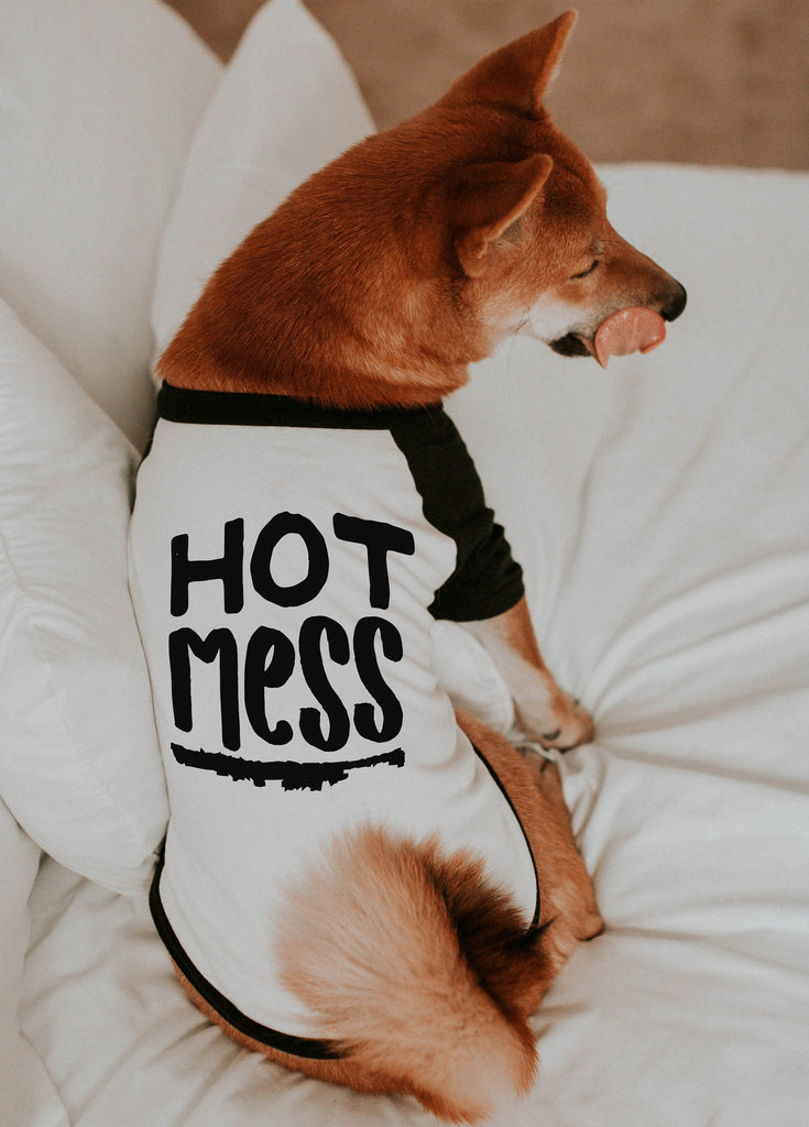 Hot Mess Funny Cute Quirky Dog Raglan in Black and White - Modeled by Miso the Shiba Inu