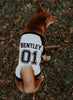 Custom Dog Name Age Team Jersey Birthday Dog Shirt - Black/White Modeled by Miso the Shiba Inu