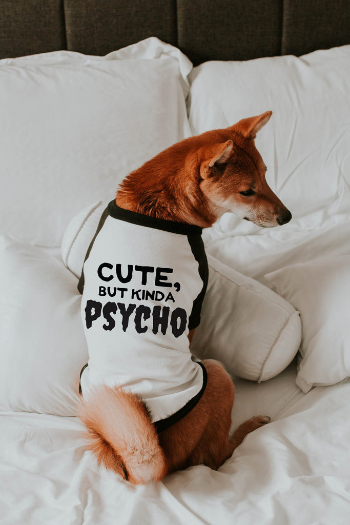 Cute, But Kinda Psycho Crazy Dog Raglan Shirt in Black/White - Modeled by Miso the Shiba the Inu