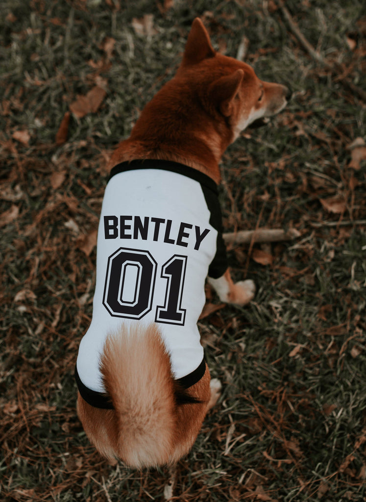 Custom Personalized Dog Raglan T-Shirt with Personalized Team Jersey Graphic
