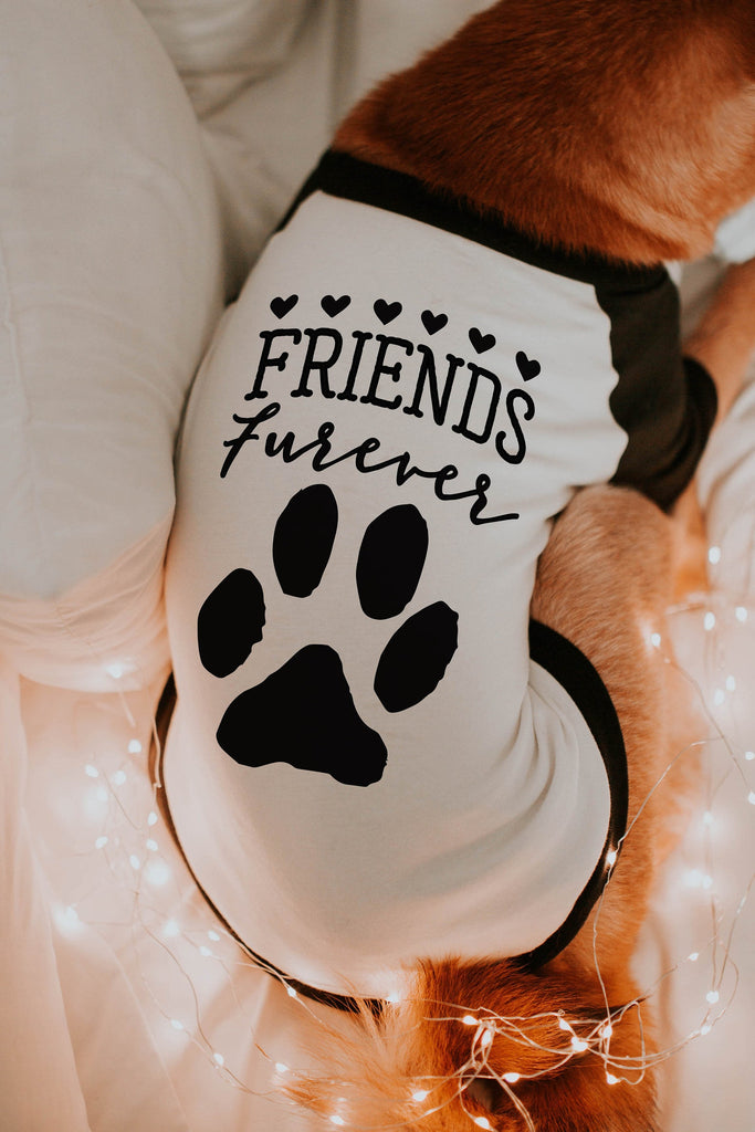 Custom Friends Furever or Love is Furever Dog Raglan in Black and White - Modeled by Miso the Shiba Inu