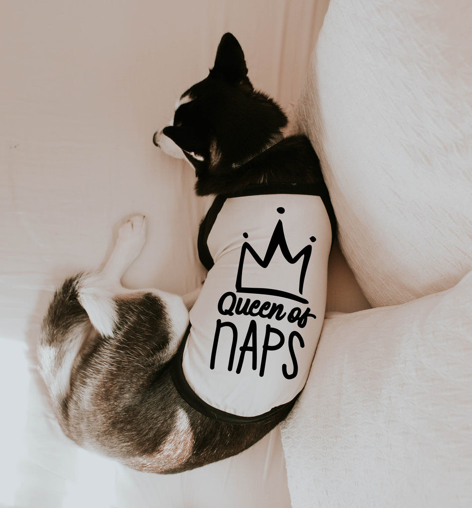 Custom King of Naps or Queen of Naps Dog Raglan in Black and White - Modeled by Athena the Husky