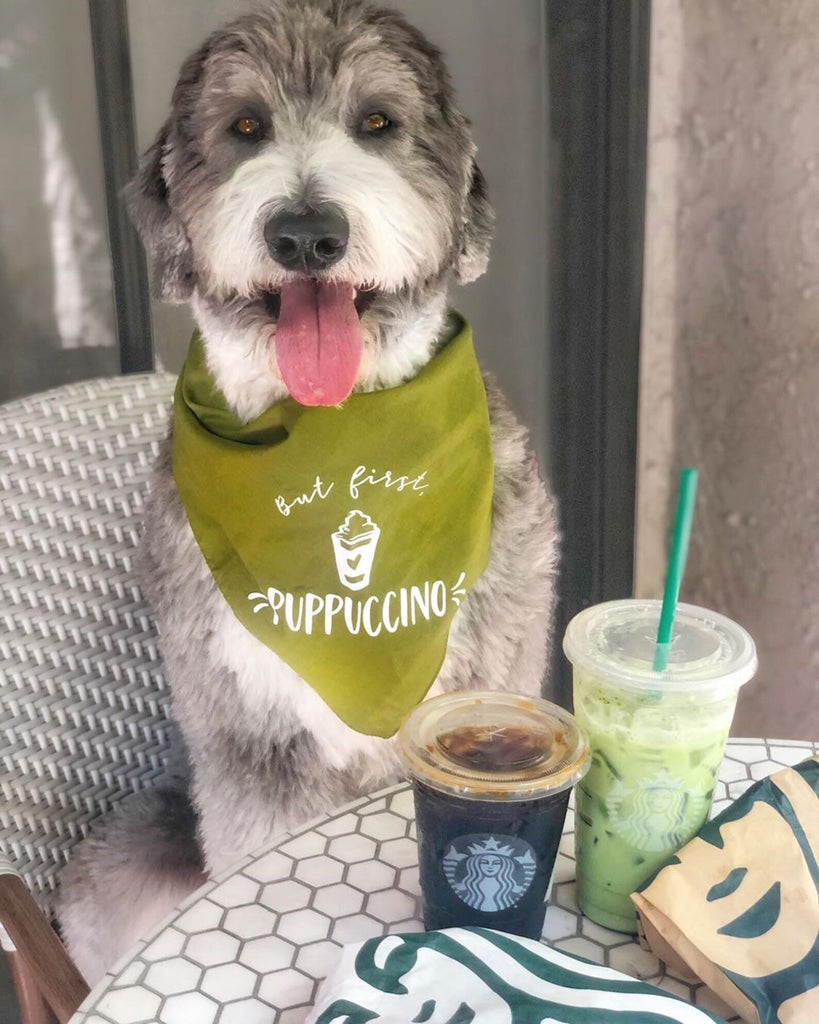 But First, Puppuccino Bandana in Army Olive Green