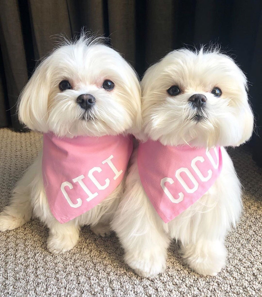 Customized Dog Name Bandana in Light Pink