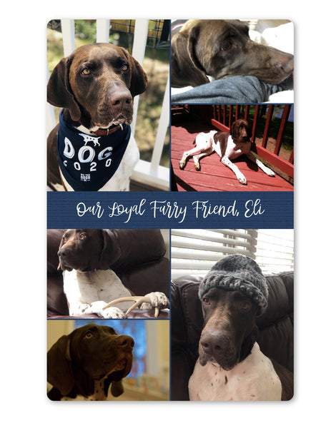 Custom Dog, Cat, or Other Pet Photo Woven Throw or Fleece Blanket - Featuring German Shorthaired Pointer, cutie Eli