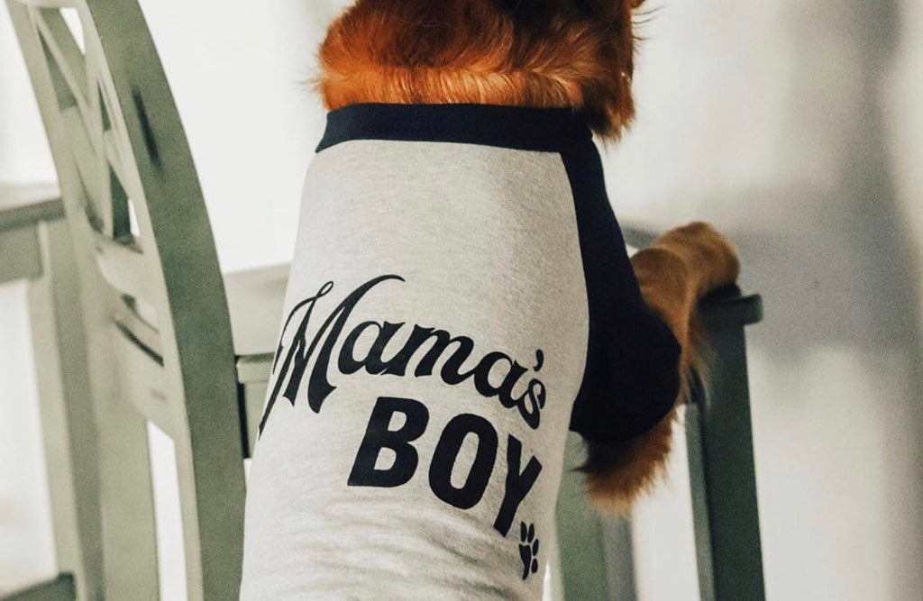 Custom Mama's Boy Daddy's Girl Shirt in Black and White - Modeled by Chance the Golden Retriever