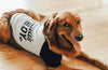 Custom Mama's Boy Daddy's Girl Shirt - Daddy's Boy in Black and White modeled by Chance the Golden Retriever
