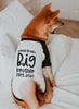 Soon To Be Big Sister Big Brother Hearts Typography Dog Raglan Shirt in Black and White - Modeled by Miso the Shiba Inu