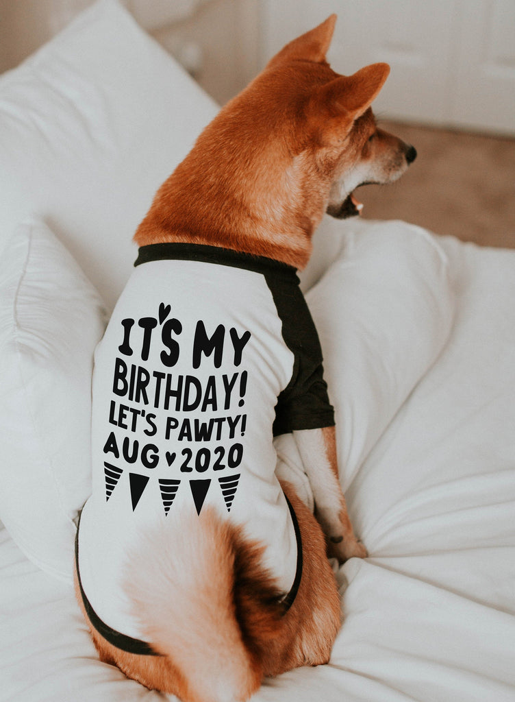 Custom It's my Birthday Birthday Let's Pawty! Dog Raglan Shirt in Black and White Modeled by Miso the Shiba Inu