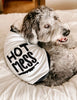 Hot Mess Funny Cute Quirky Dog Raglan in Black and White - Modeled by Bogey the Bernedoodle