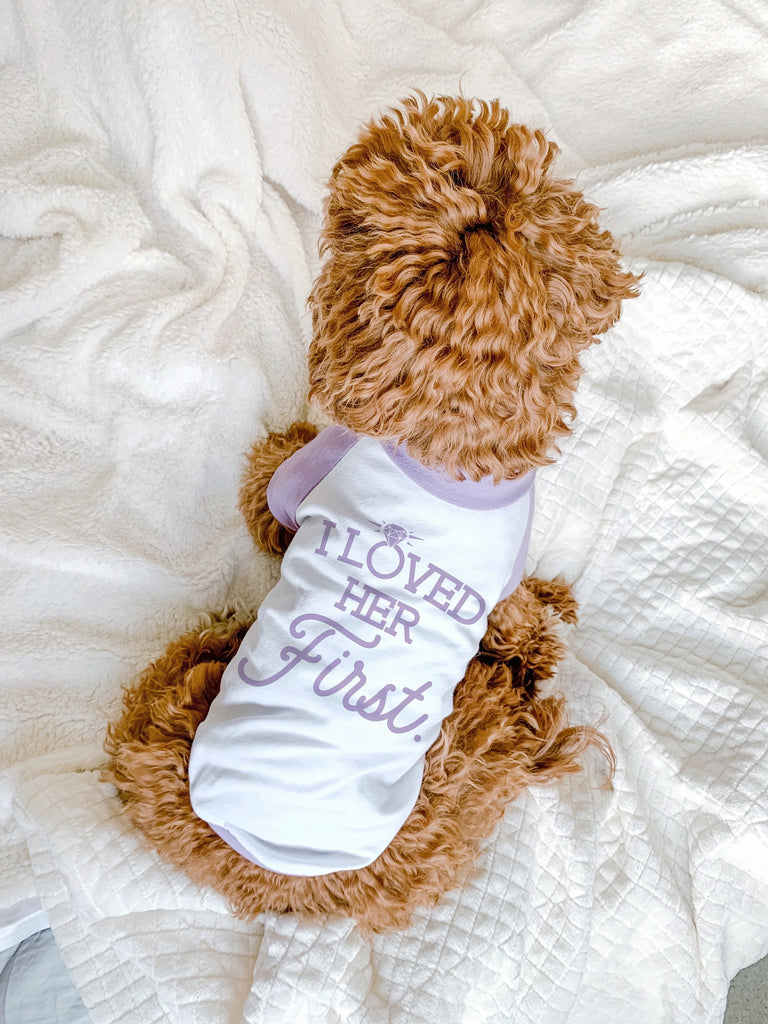 I Loved Her First Marriage Engagement Announcement Dog Raglan Shirt in Lilac and White - Modeled by Bean the Goldendoodle