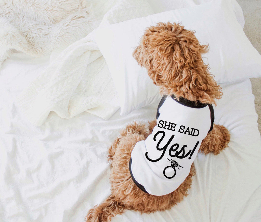 Mom Said Yes! Wedding Ring Dog Raglan Tee in Black and White - Modeled by Bean the Goldendoodle