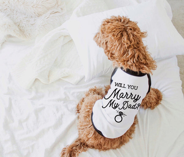 Will You Marry My Dad? Engagement Wedding Marriage Dog Raglan T-Shirt in Black and White - Modeled by Bean the Goldendoodle