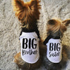 Big Brother Big Sister or Little Brother Little Sister Dog Raglan Shirt - Modeled by Lily and Nutmeg the Yorkshire Terriers