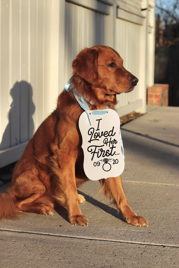 I Loved Her First Wedding Announcement Engagement Photo Shoot Special Occasion Dog Sign Dog Photo Prop - 8x10" Sign with Light Blue Ribbon Modeled by Chance the Golden Retriever