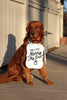 Will You Marry My Dad? Proposal Engagement Sign Photo Shoot Special Occasion Dog Sign Dog Photo Prop Sign for Engagement - 8x10" Sign with Light Blue Ribbon Modeled by Chance the Golden Retriever
