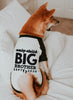 Not an Only Child Big Sister Big Brother Typography Dog Raglan Shirt in Black and White - Modeled by Miso the Shiba Inu