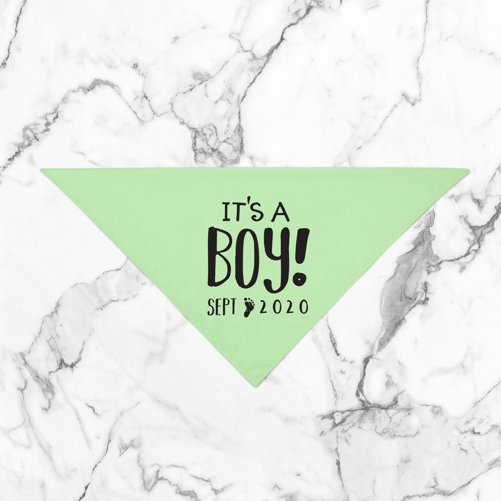Personalized It's a Girl! It's a Boy! Gender Reveal Pregnancy Announcement Bandana in Mint Green