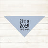 Custom It's a Girl! It's a Boy! Gender Reveal Pregnancy Announcement Bandana in Light Blue