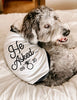 He Asked... Custom Date Marriage Engagement Announcement Dog Raglan Shirt in Black and White - Modeled by Bogey the Bernedoodle