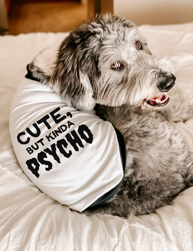 Cute, But Kinda Psycho Crazy Dog Raglan Shirt in Black and White - Modeled by Bogey the Goldendoodle
