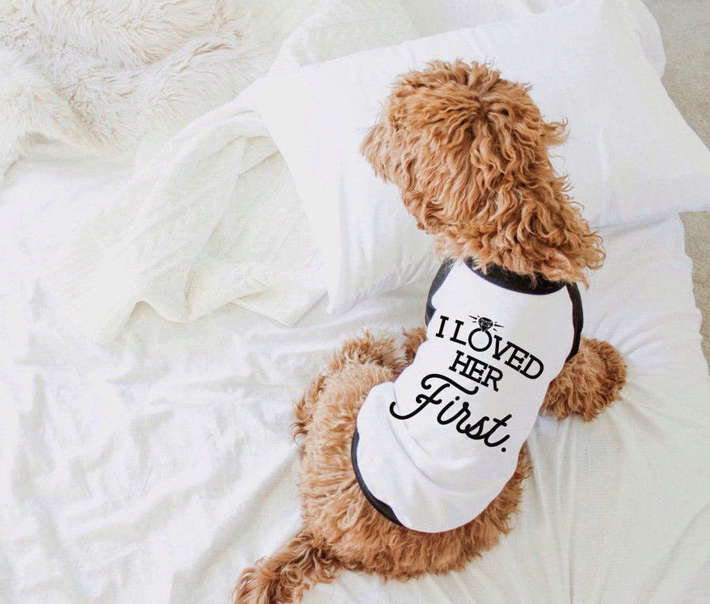 I Loved Her First Marriage Engagement Announcement Dog Raglan Shirt in Black and White - Modeled by Bean the Goldendoodle