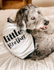 Little Brother Dog Raglan Shirt in Black and White - Modeled by Bogey the Bernedoodle