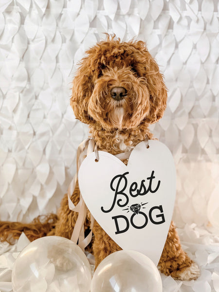 Best Dog Wedding Announcement Bow Tie Engagement Special Occasion Dog Sign - 8x10 Heart Sign modeled by Bean the Goldendoodle