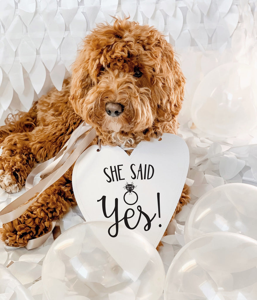 She Said Yes! Wedding Announcement Engagement Photo Shoot Special Occasion Dog Sign Dog Photo Prop Sign for Photo Shoot - 8x10" Heart Sign with Taupe Ribbon Modeled by Bean the Goldendoodle