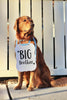 Big Brother or Big Sister Baby Announcement Photo Shoot Dog Sign Prop Pregnancy Announcement - 8x10 Sign with Blue Ribbon Modeled by Chance the Golden Retriever