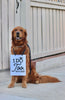 I Do Too Wedding Date Announcement Engagement Photo Shoot Special Occasion Dog Sign Dog Photo Prop Sign for Photo Shoot - 8x10" Rectangular Sign with Black Ribbon Modeled by Chance the Golden Retriever