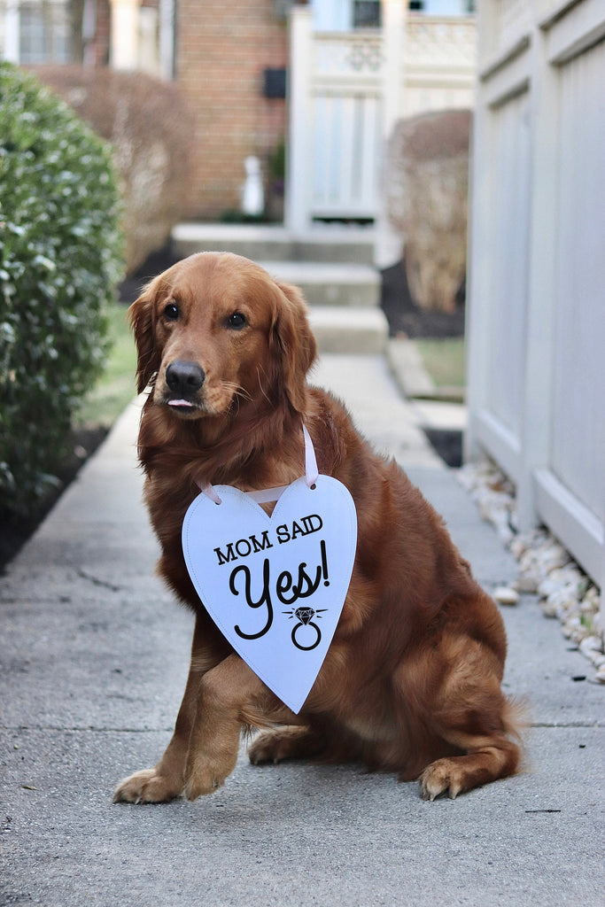 Mom Said Yes! Wedding Announcement Bow Tie Engagement Special Occasion Dog Sign - 8x10" Heart Shaped Sign with Light Pink Modeled by Chance the Golden Retriever